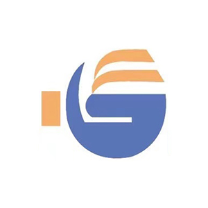 友谊国际工程咨询股份有限公司企业logo