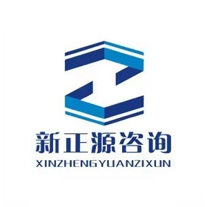 新正源项目咨询有限公司企业logo