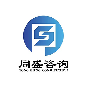 中同盛（山东）工程咨询有限公司企业logo