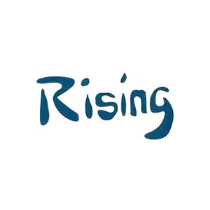 日照日星建设监理有限公司企业logo