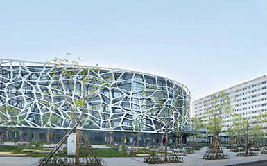 首都医科大学附属天坛医院