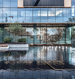 句容市后白镇隆昌园苗木种植基地