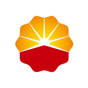 中石油华东设计院有限公司企业logo