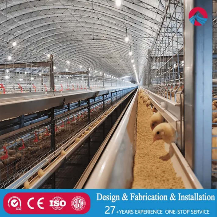 Livestock Shed Steel Structure