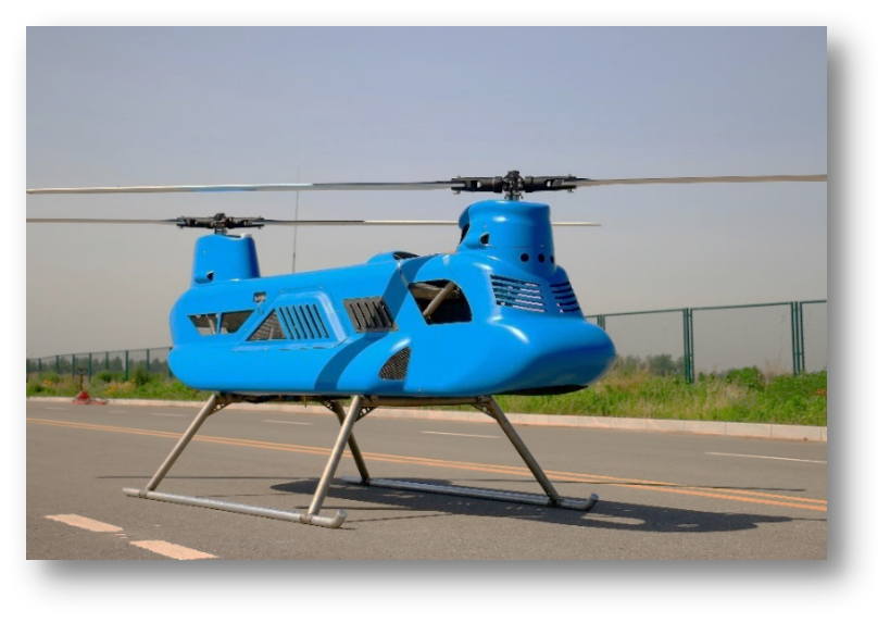 沙漠骆驼（Desert Camel）