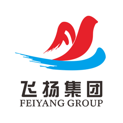 广东飞扬实业集团有限公司