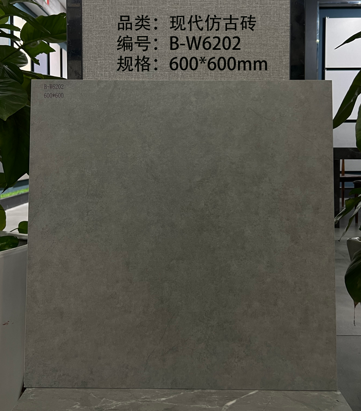 02FGZZH-现代仿古砖B-W6202