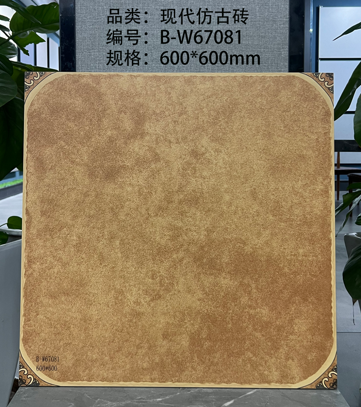 02FGZZH-现代仿古砖B-W67081