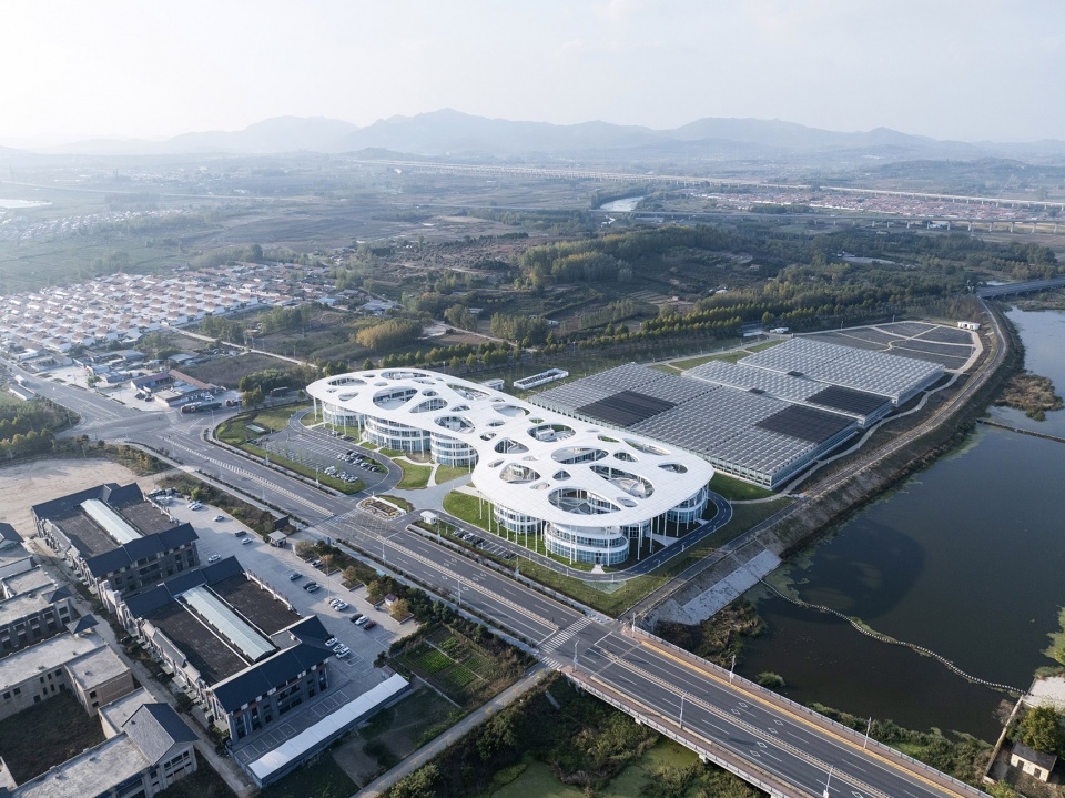 日照茶叶科创示范园 / 孔祥伟工作室