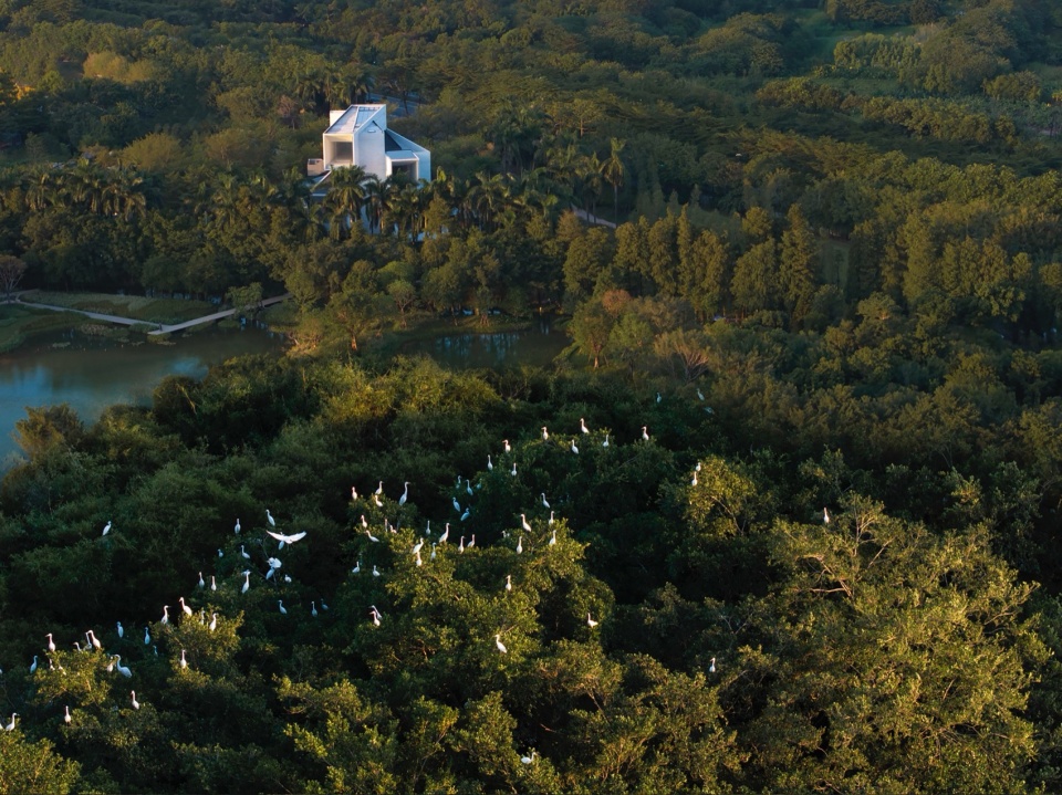 顺德云鹭湿地展厅景观设计,佛山 / 承迹景观