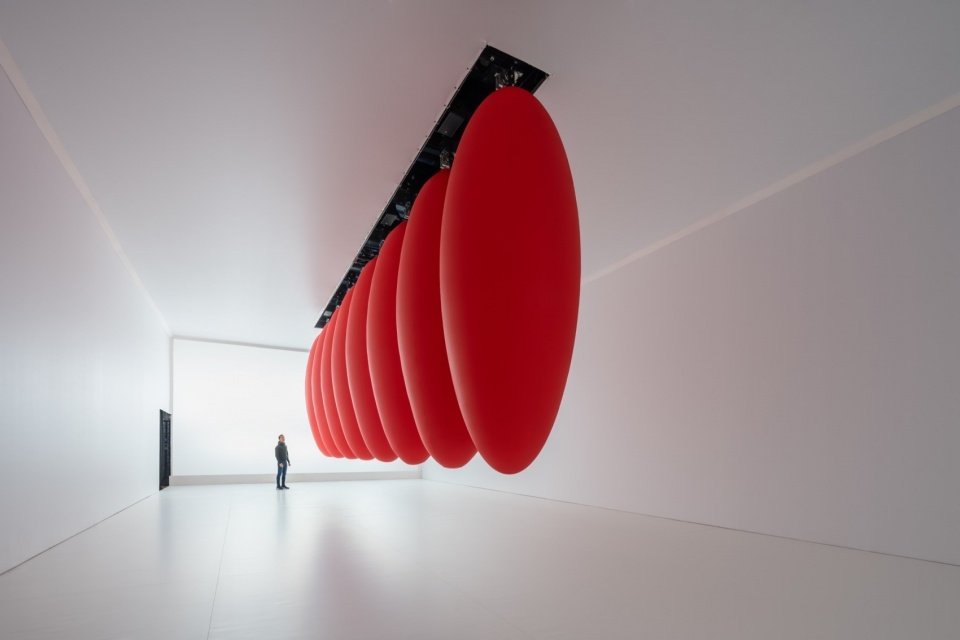 OVOIDS动态装置，罗马 / SpY