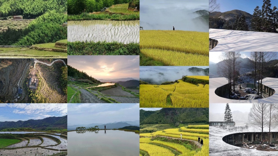 问稻社，福建 / AG汇创