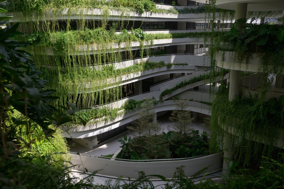 无界花园,深圳 / 大小景观