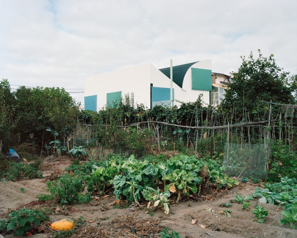 倒屋顶住宅，葡萄牙 / fala