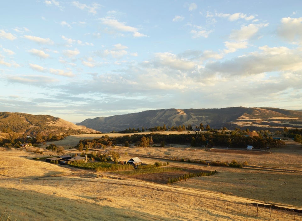 COR酒庄，美国 / GO’C