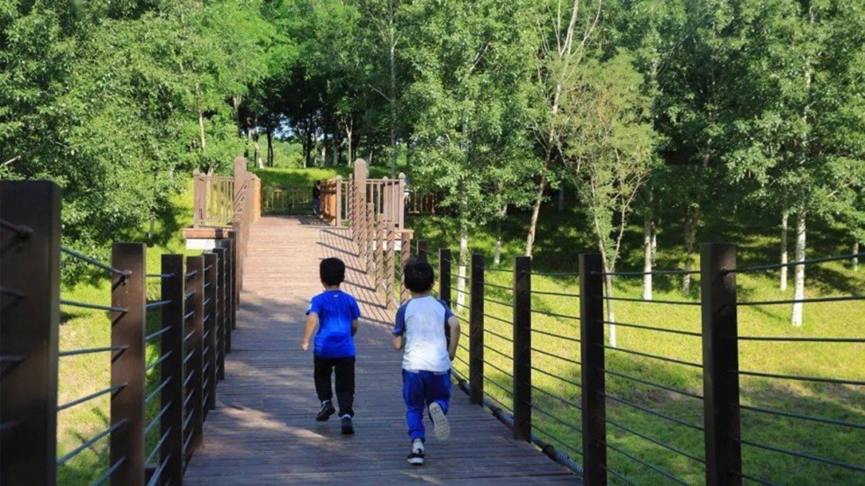 北京朝来森林公园（三期）营建 / 笛东规划设计（北京）股份有限公司