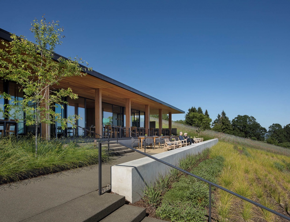 Archery Summit酒庄，俄勒冈州 / Heliotrope Architects
