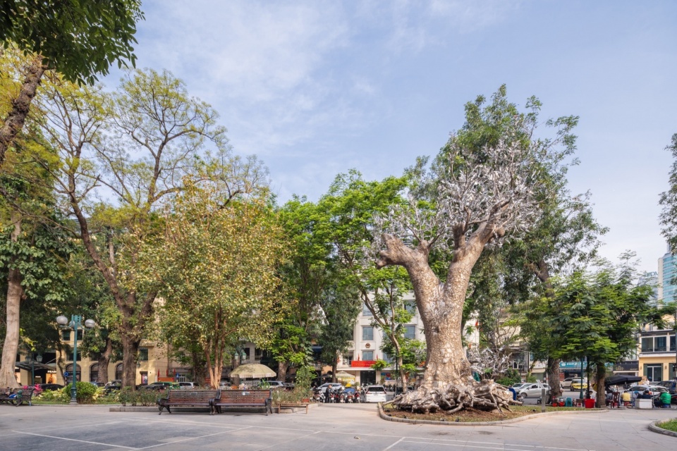 《重生》装置，越南 / Tia-Thuy Nguyen