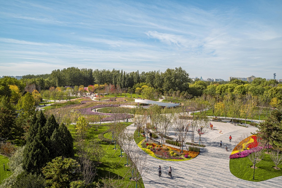 花漾之境：北小河公园樱花谷环境改造提升设计，北京/ 埊木设计（CAFA·A城市艺术创新中心）