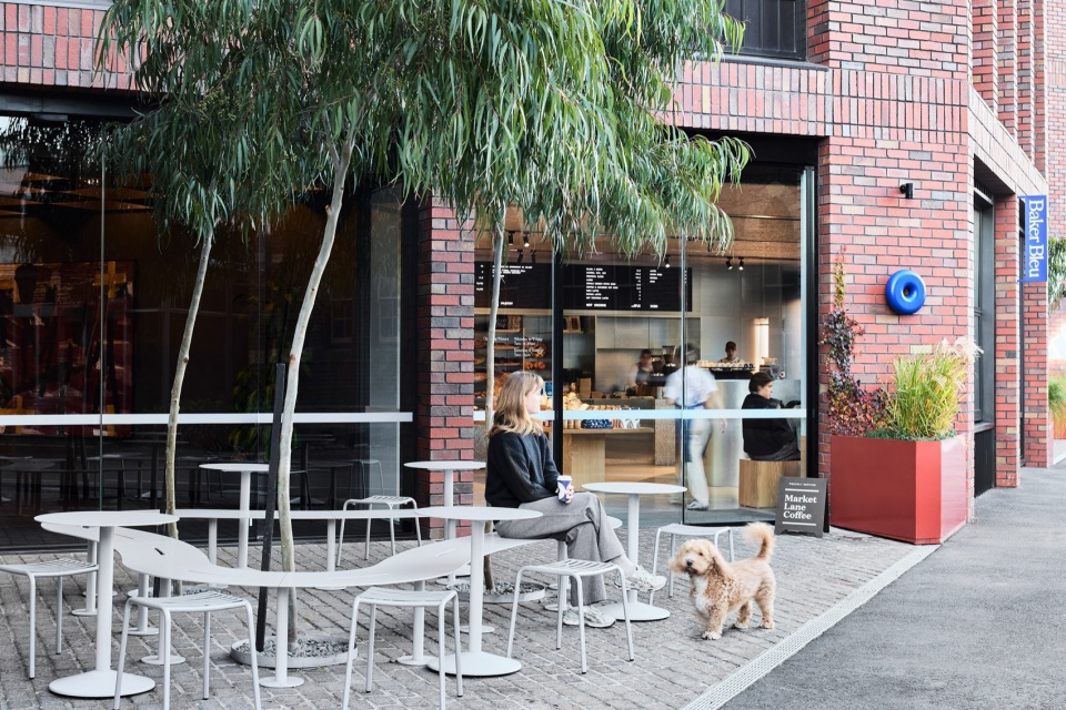 蓝烘焙坊，澳大利亚 / IF Architecture