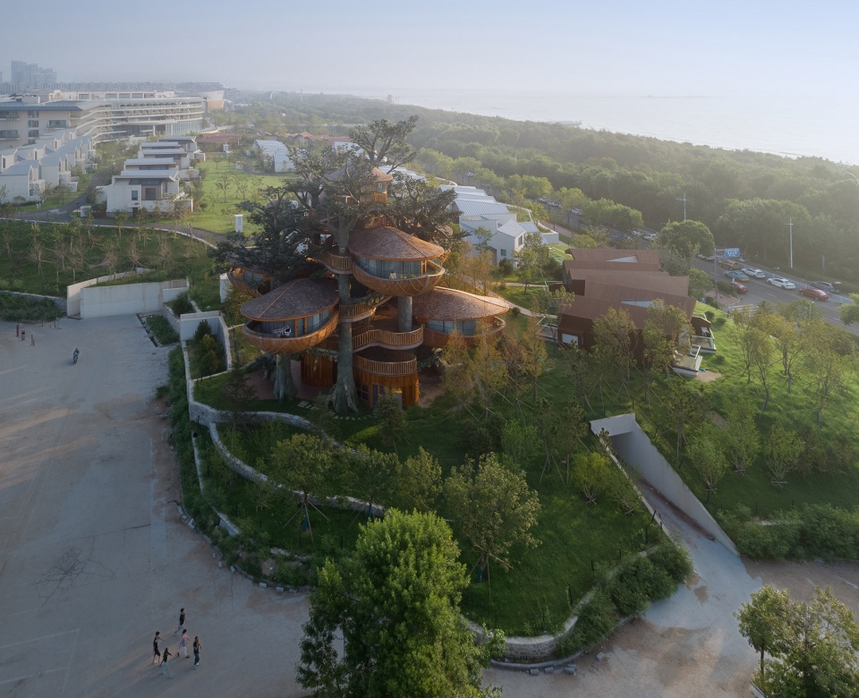 森泊乐园 · 林间之巢，山东 & 湖北 / 动奇屋