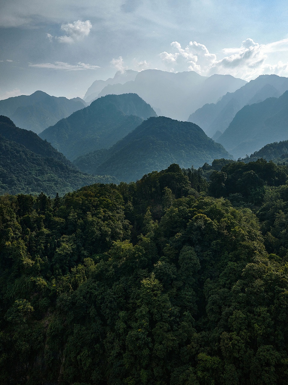 岚域·峨眉山,四川 / Studio J. Bridgland