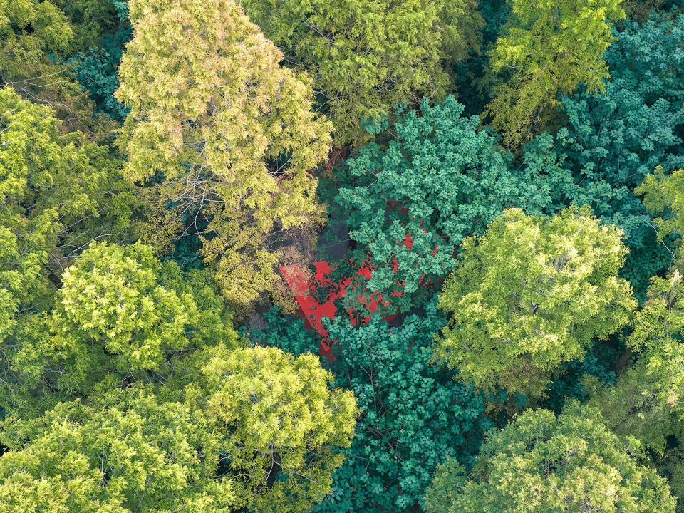 [荒野之家#137]-美悦达个个世界-红磨坊，湖北 / 个个世界+先进建筑实验室