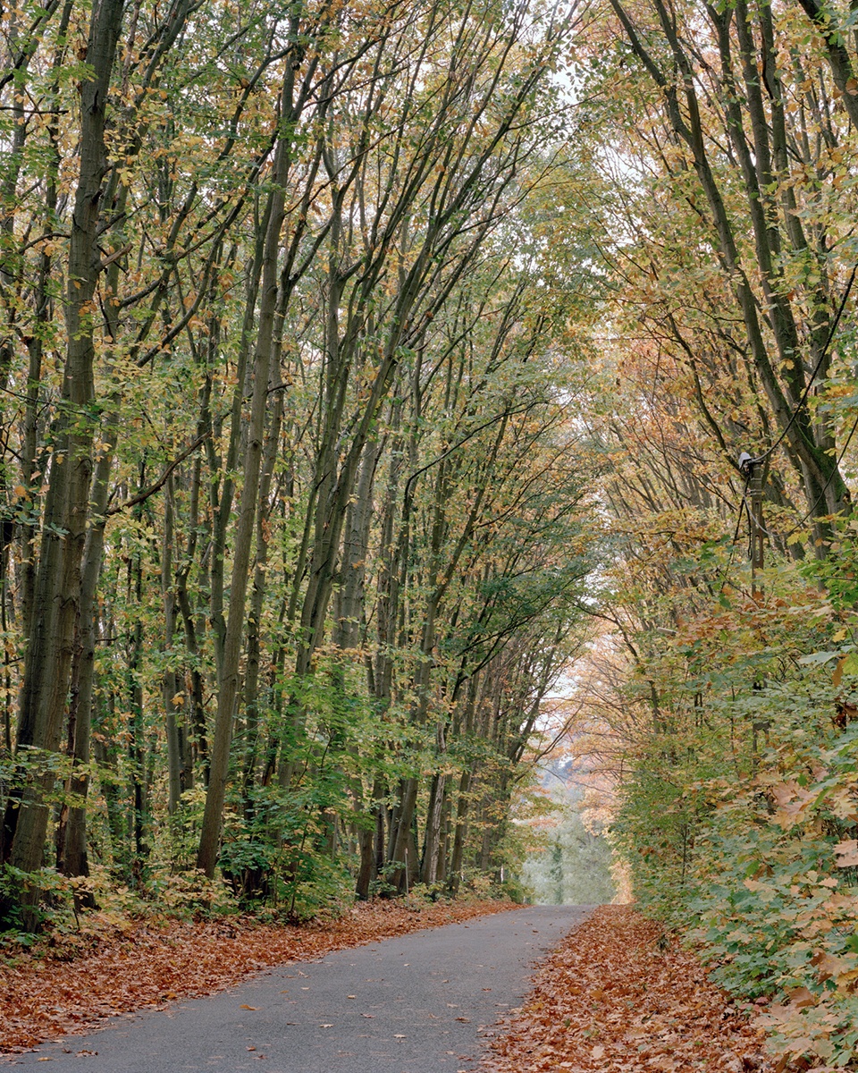 再生之屋，比利时 / Elmēs