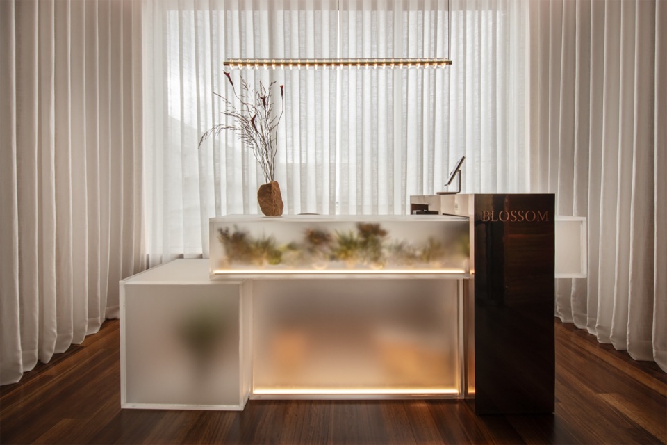 Blossom米其林博物馆餐厅，西班牙 / Lago Interioriza