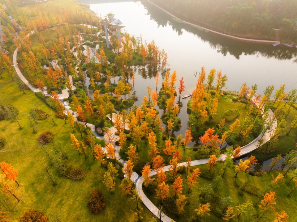 重庆麓溪湖原滩公园 / WTD纬图设计