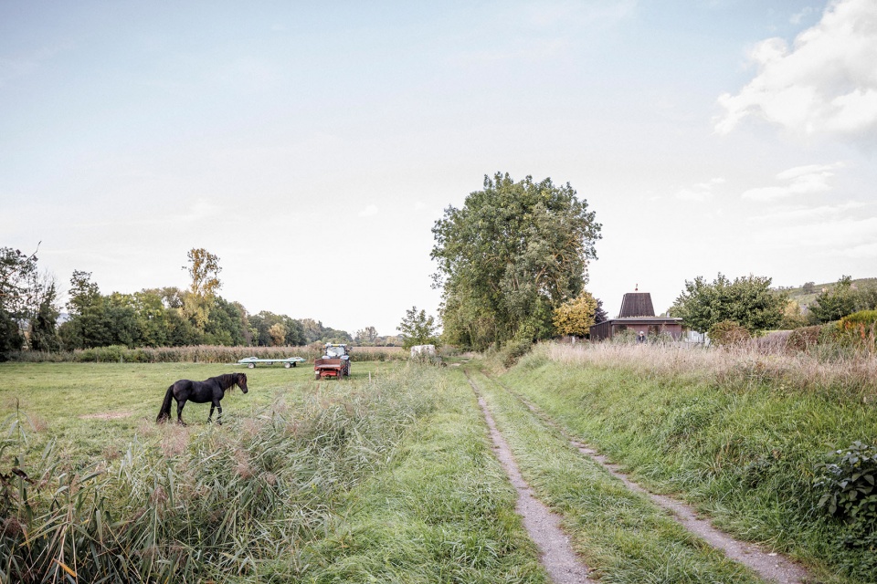 施拉赫贝尔海姆新市政厅，法国 / AL PEPE architects