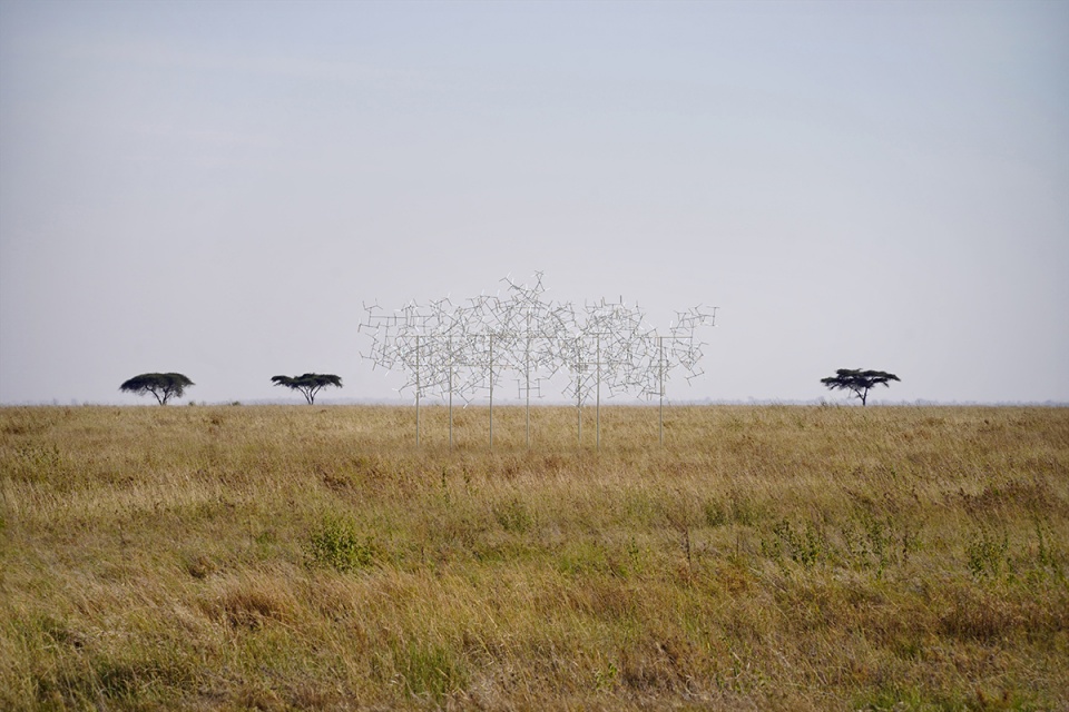 在风的塑形中，坦桑尼亚 / Vincent Leroy