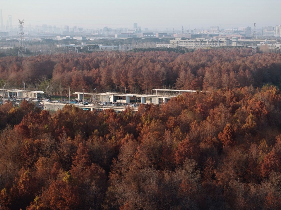 入沔·上海机场联络线康桥东站地面站点 / 同济原作工作室