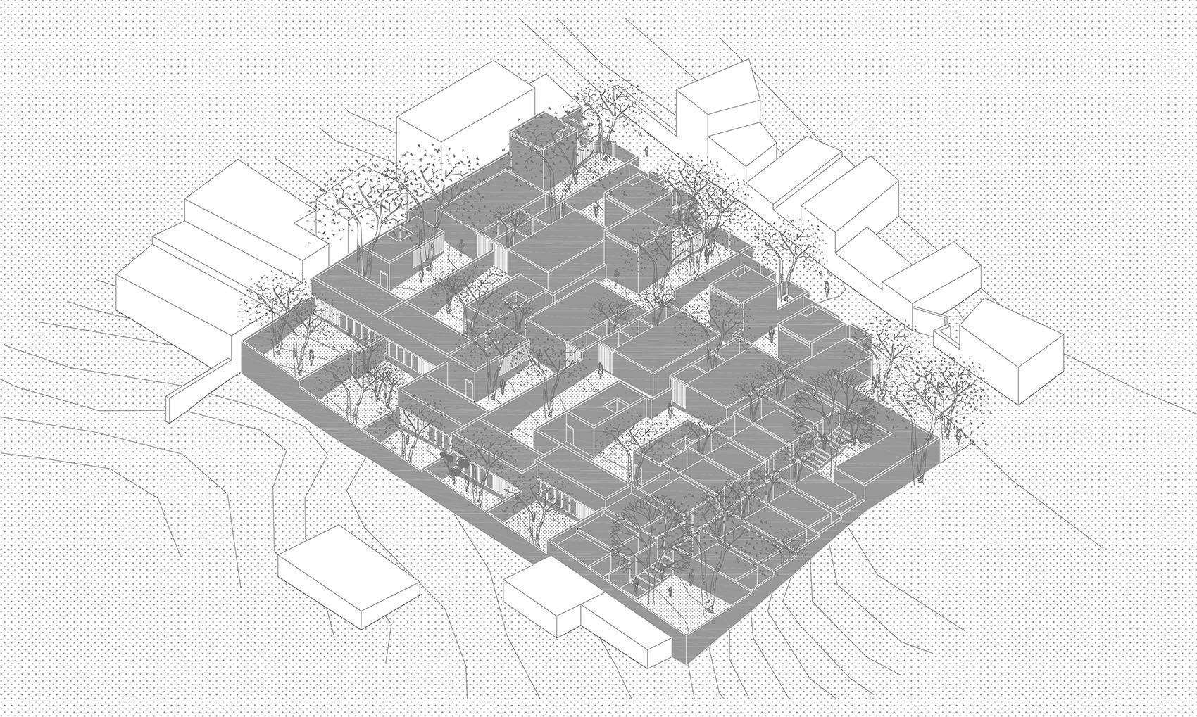 Pirules住宅，墨西哥 / Escobedo Soliz