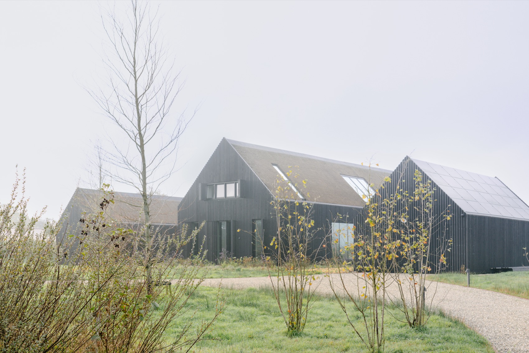 黑色谷仓，荷兰 / Loer Architecten