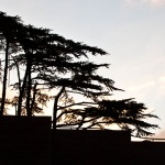 Además arquitectura